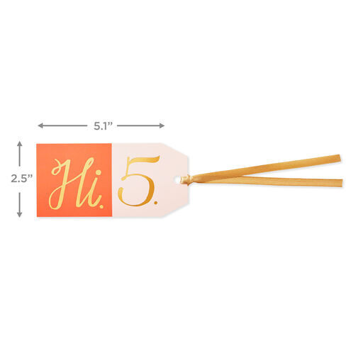 Hi 5 Gift Tag With Ribbon, 