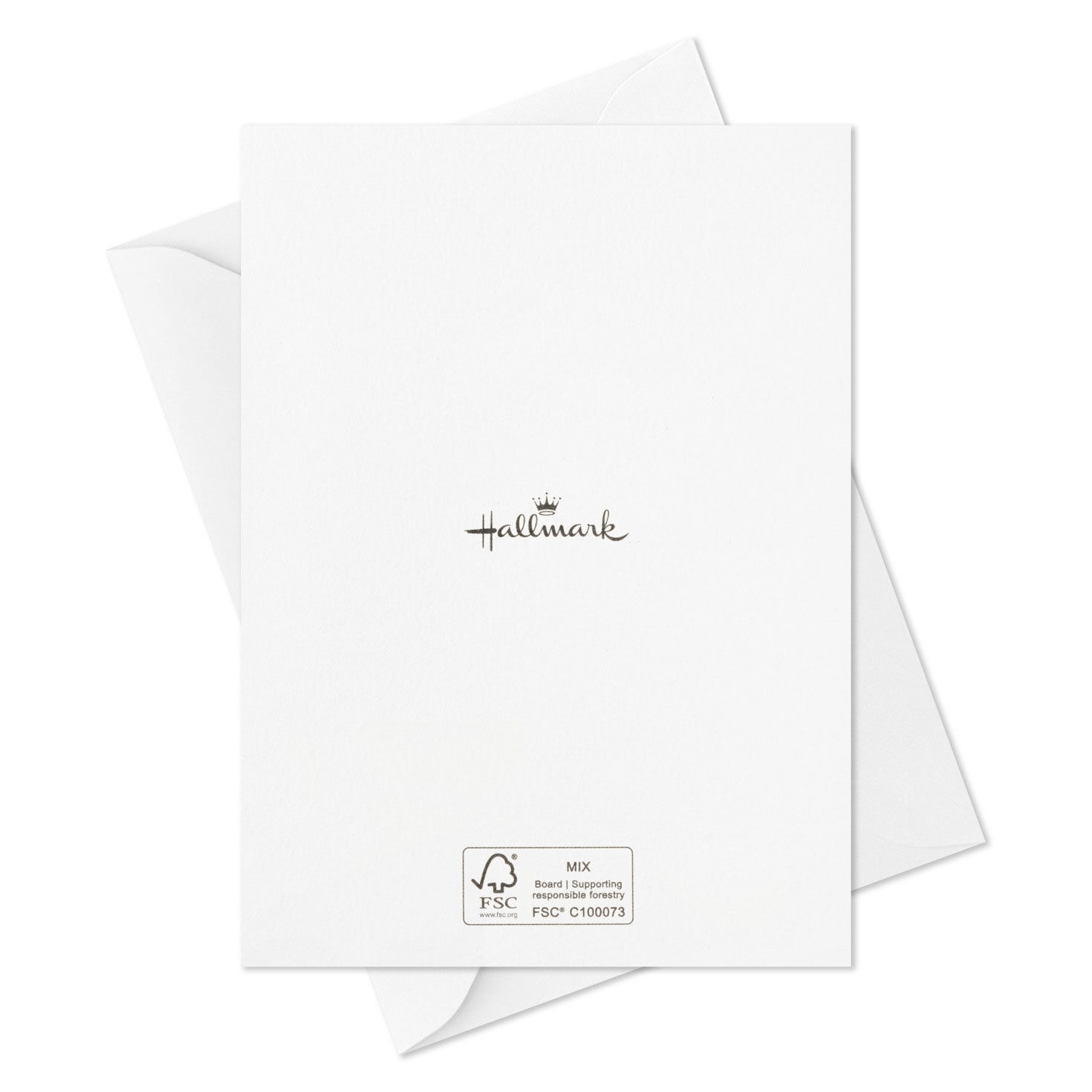 Vintage Bird Artwork Assorted Notes, Pack of 24, , large image number 4