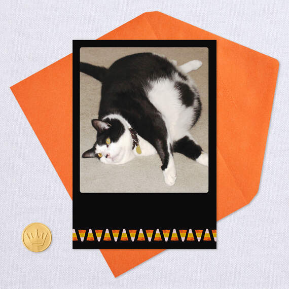 Fat Cat and Candy Corn Funny Halloween Card, , large image number 5