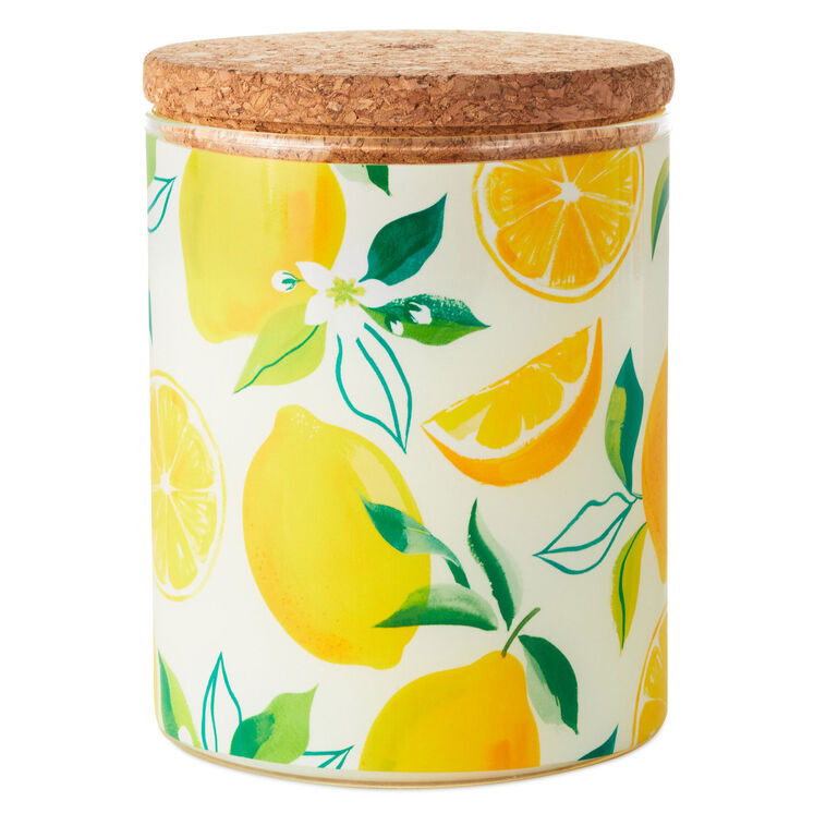 Meyer Lemon and Lemon Zest Scented 2-Wick Jar Candle, 14.5 oz.