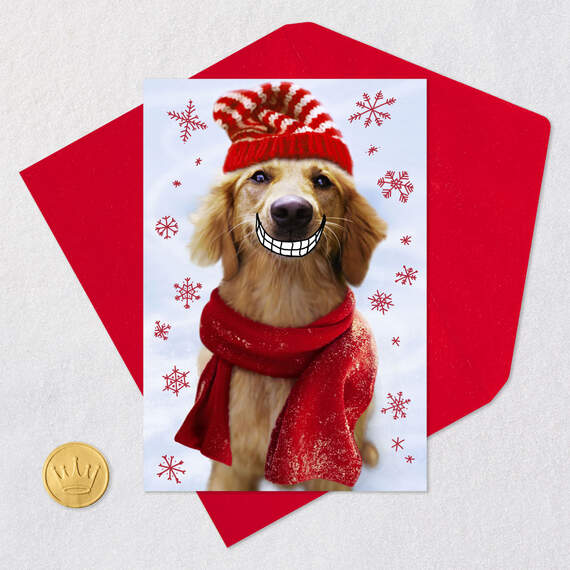 A Smile From Someone Who Loves You Funny Christmas Card, , large image number 5