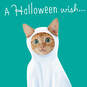 Dogs and Cats in Costume Assorted Halloween Cards, Pack of 8, , large image number 6