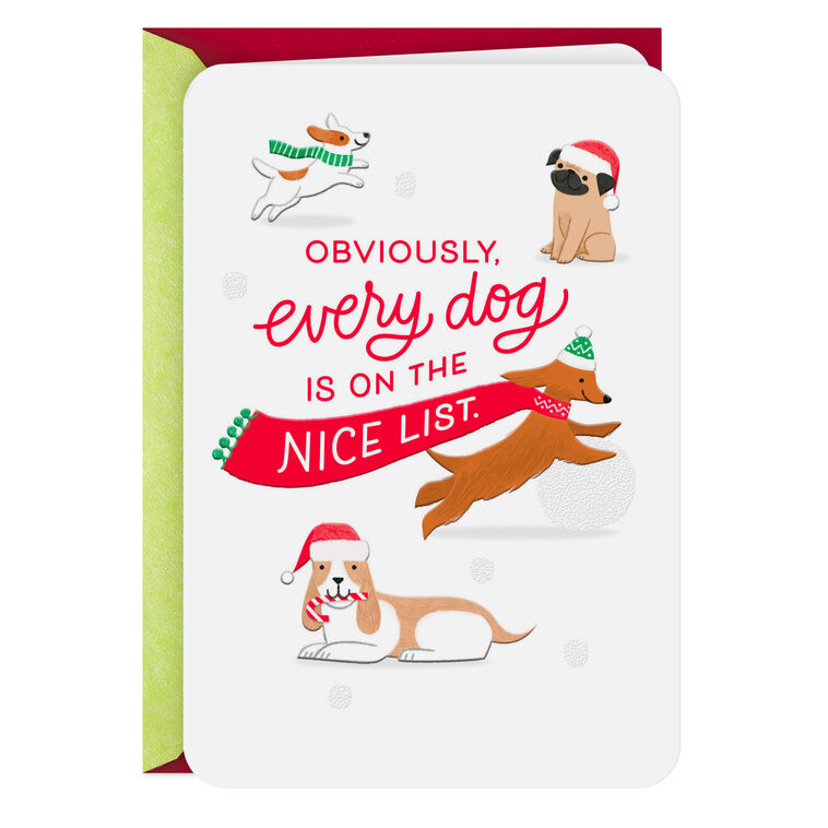 You and Every Dog Made the Nice List Christmas Card