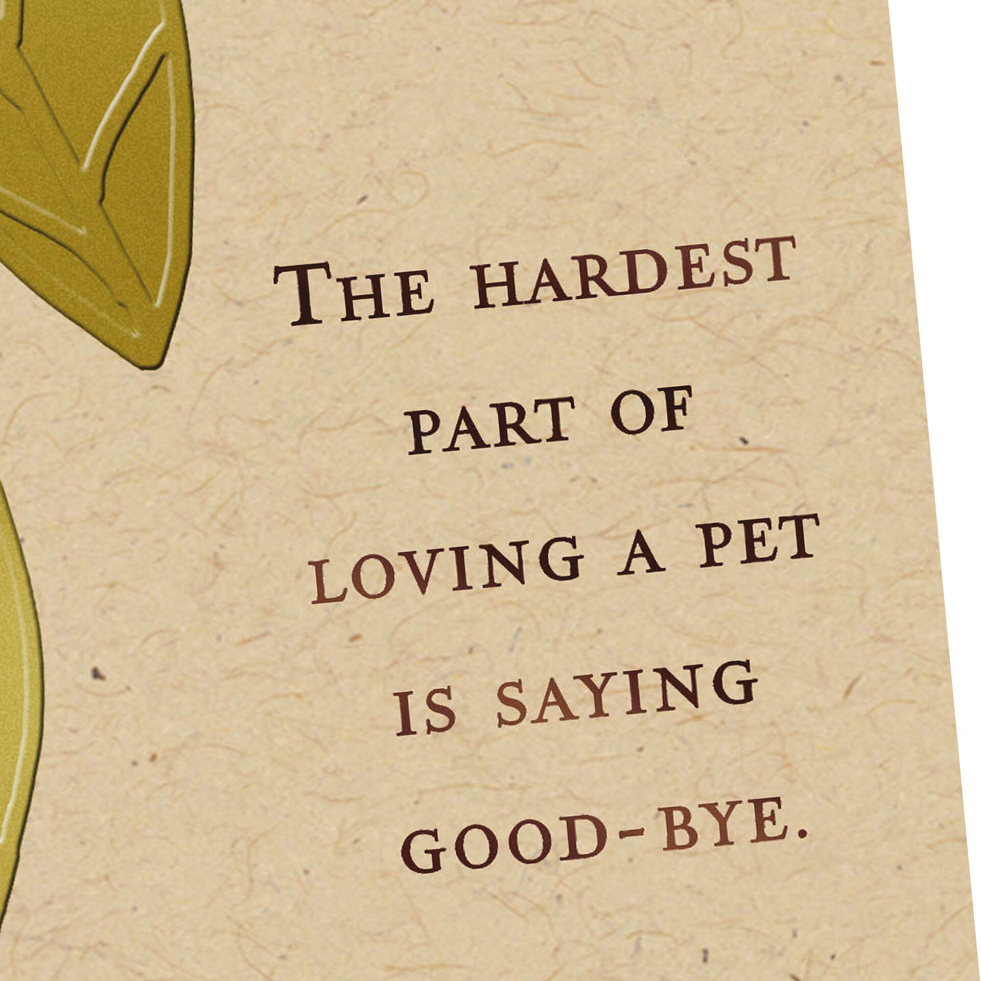 Saying Good Bye Sympathy Card For Loss Of Pet Greeting Cards Hallmark