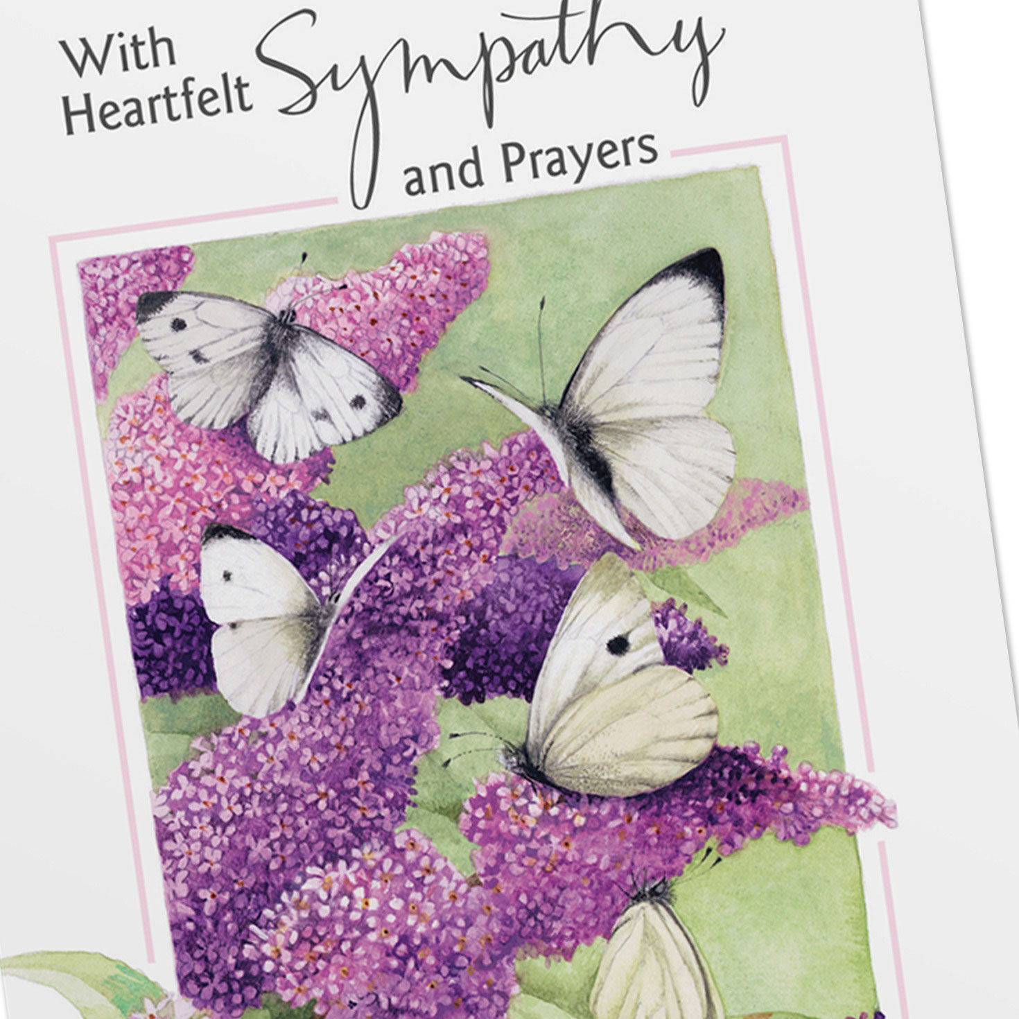 Bastin Nature DaySpring Sympathy Cards Assortment Cover Detail image number 5