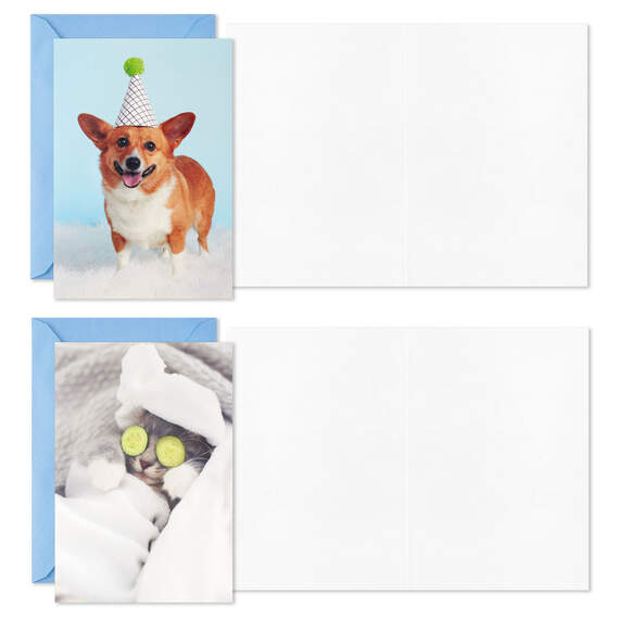 Dynamic Dogs and Cats Boxed Blank Cards Assortment, Pack of 12, , large image number 4