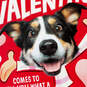 Hugging Dog Musical Pop-Up Valentine's Day Card With Mini Cards, , large image number 8