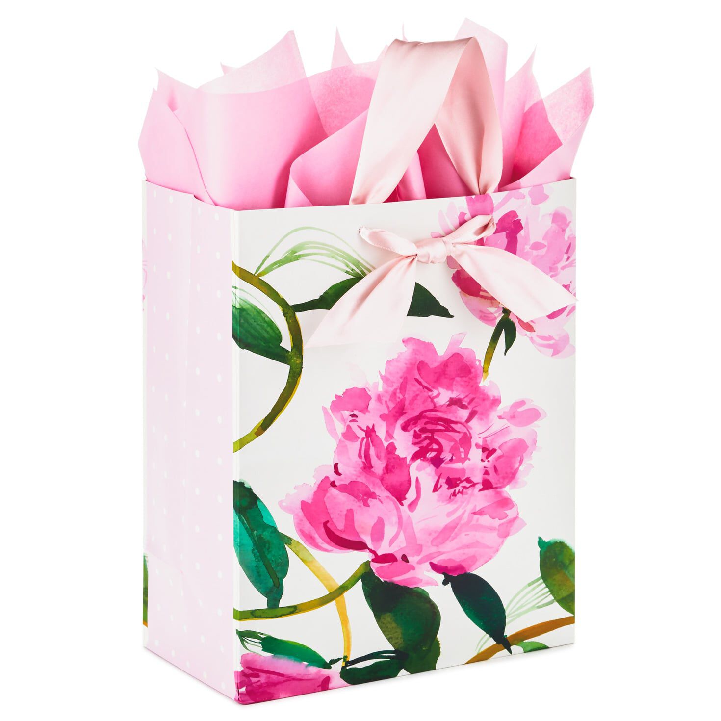 Hallmark Signature Small Gift Bag with Tissue Paper (#63