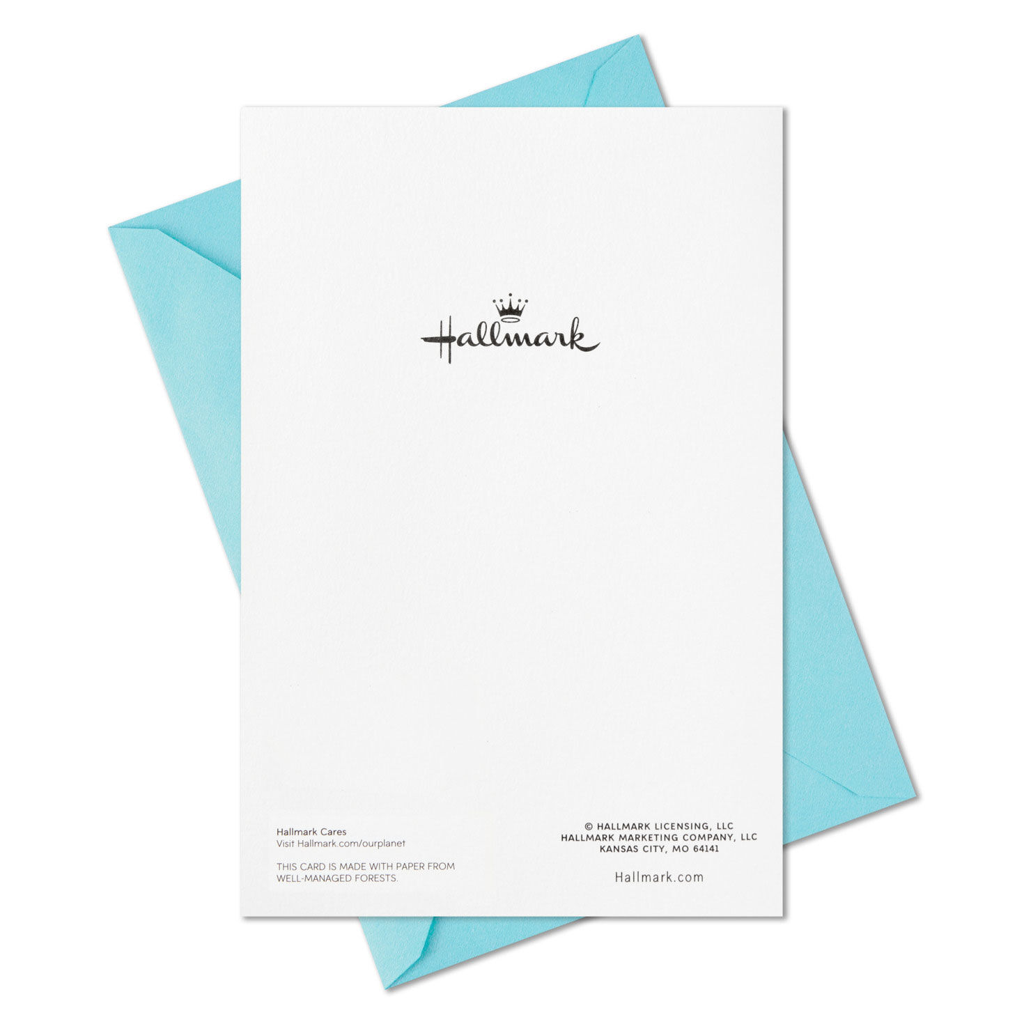 Seashell Wreath Boxed Christmas Cards, Pack of 16, , large image number 7