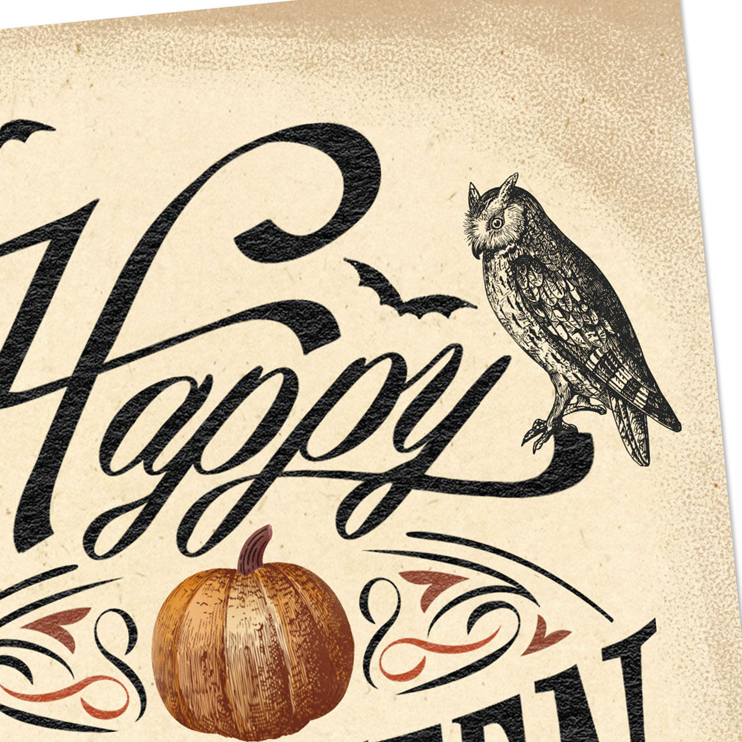 Vintage Weathered Sign Halloween Cards Pack Cover Detail image number 4
