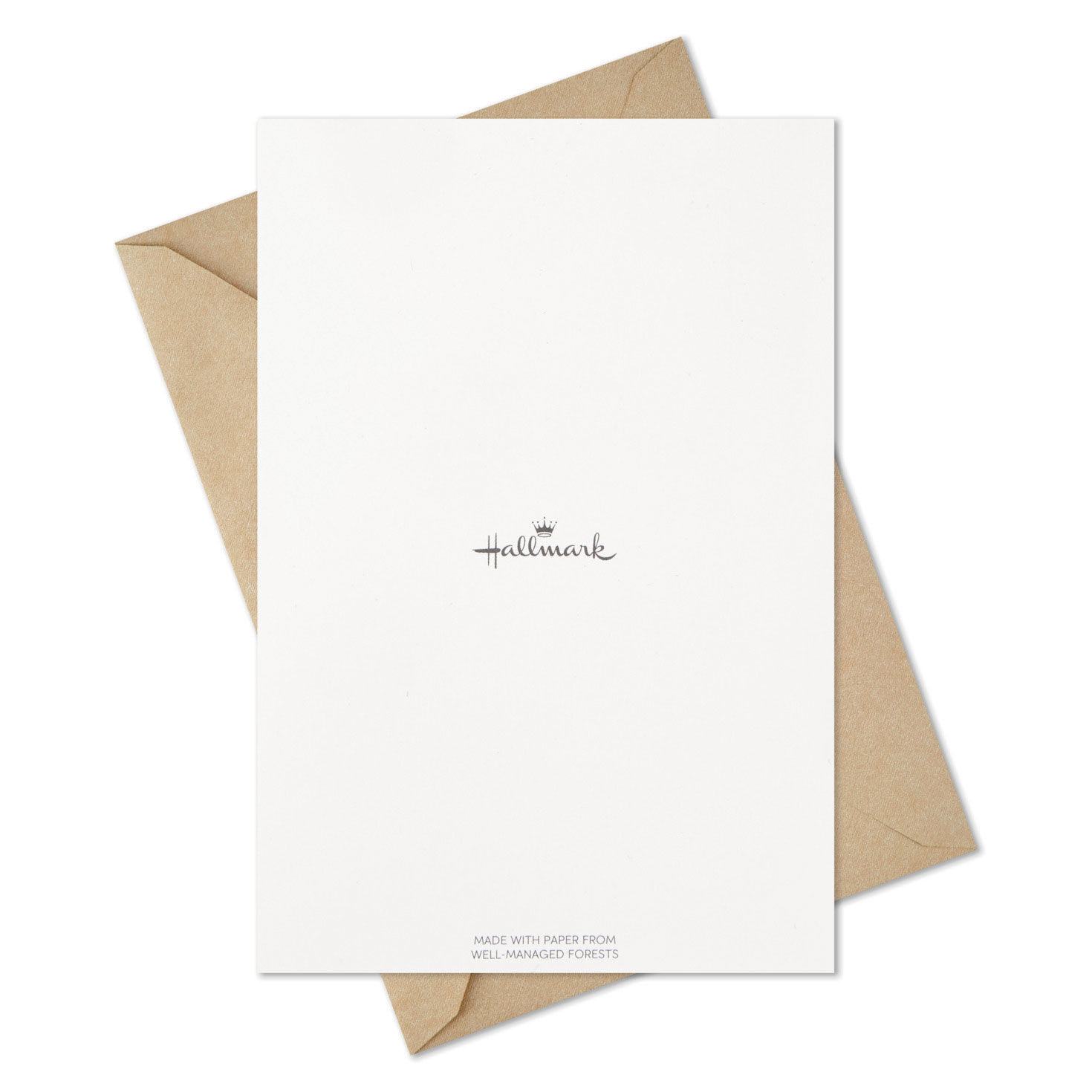Autumn Botanicals Assorted Thanksgiving Cards, Pack of 36 for only USD 18.99 | Hallmark