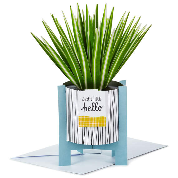 Spider Plant Keep Growing 3D Pop-Up Hello Card