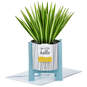 Spider Plant Keep Growing 3D Pop-Up Hello Card, , large image number 1