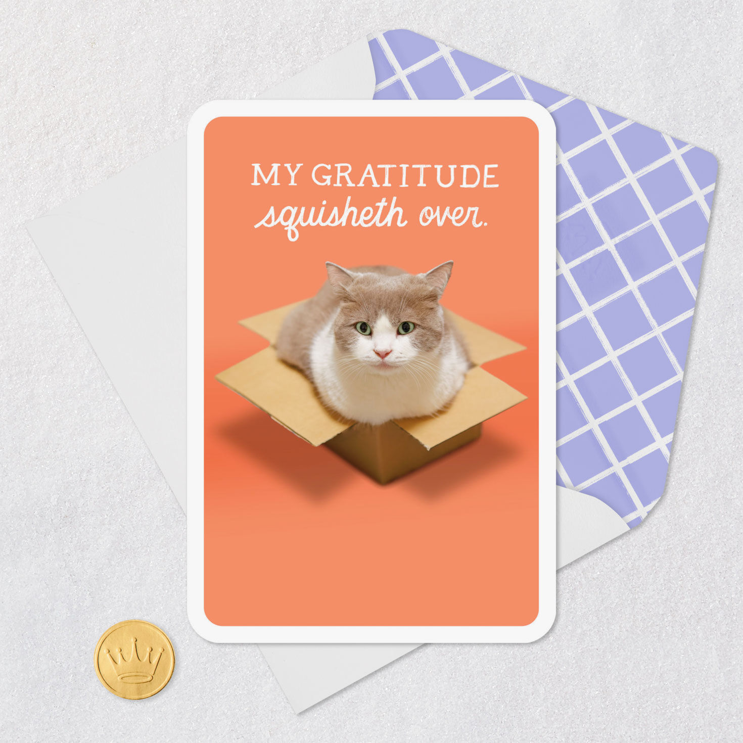 Cat Sitting in a Box Funny Thank You Card Card Front with Envelope and Gold Seal image number 5