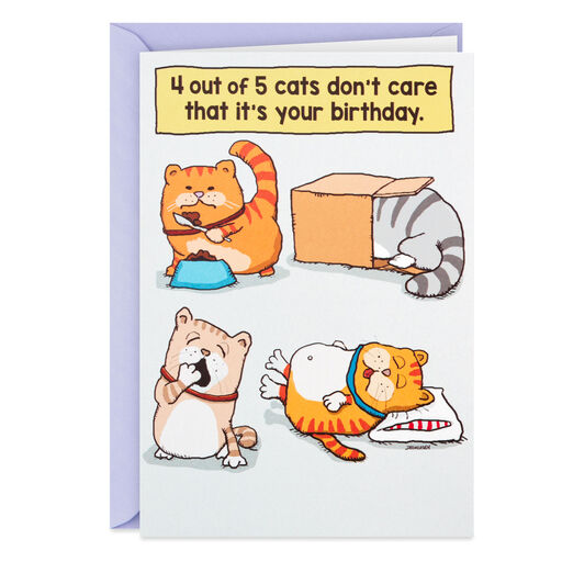 Cats Don't Care Funny Birthday Card, 