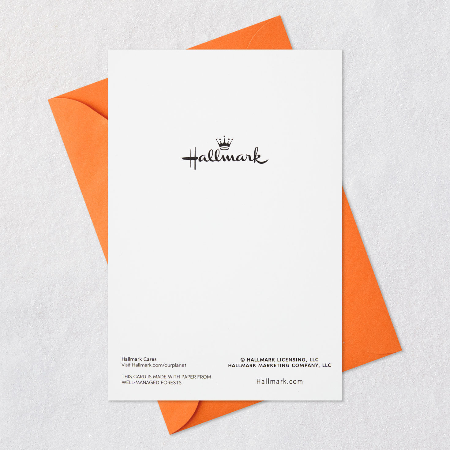 Black Kitten With Pumpkins Halloween Cards, Pack of 6, , large image number 6