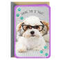 Dog Wearing Glasses Thinking of You Card, , large image number 1