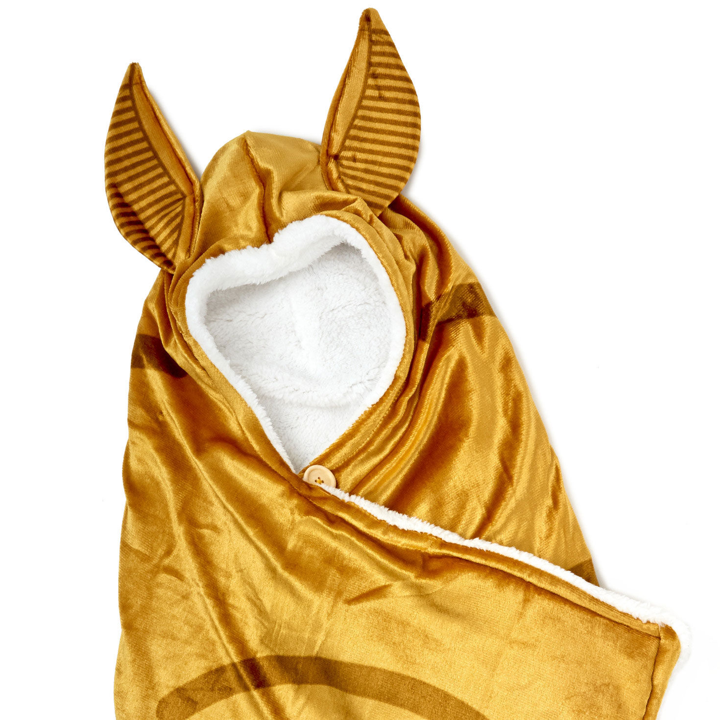 Harry Potter Golden Snitch Hooded Blanket  image number 2