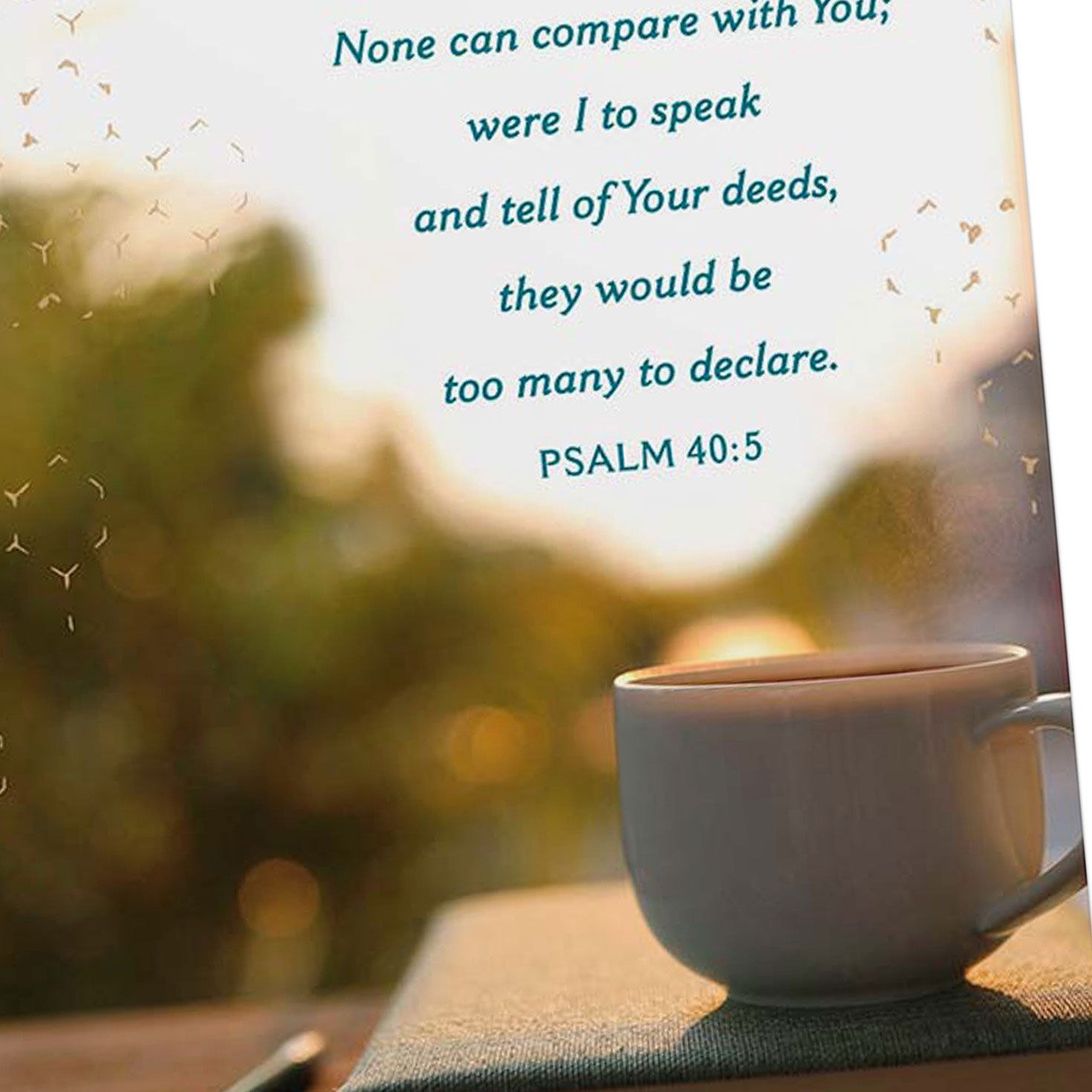 Peaceful Scenes DaySpring Prayer Cards Assortment Cover Detail image number 5