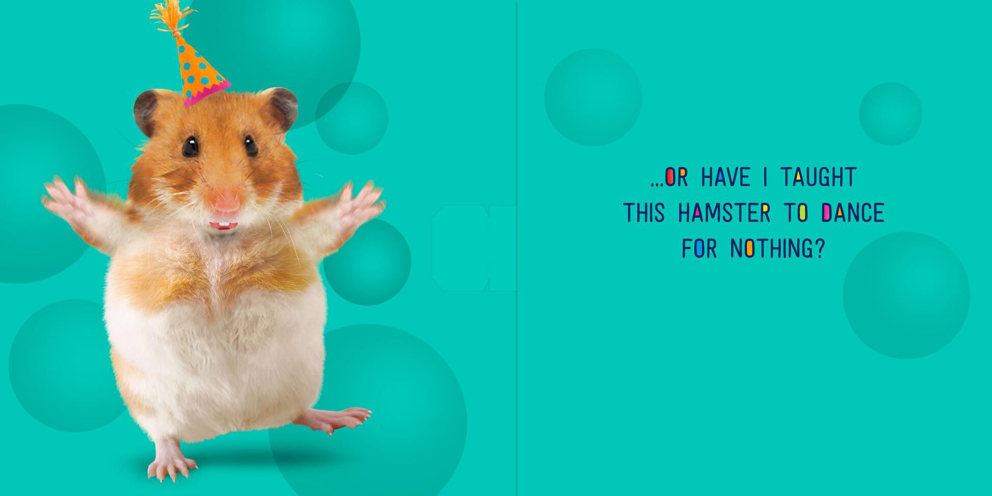 Hamster Dance Musical Birthday Card