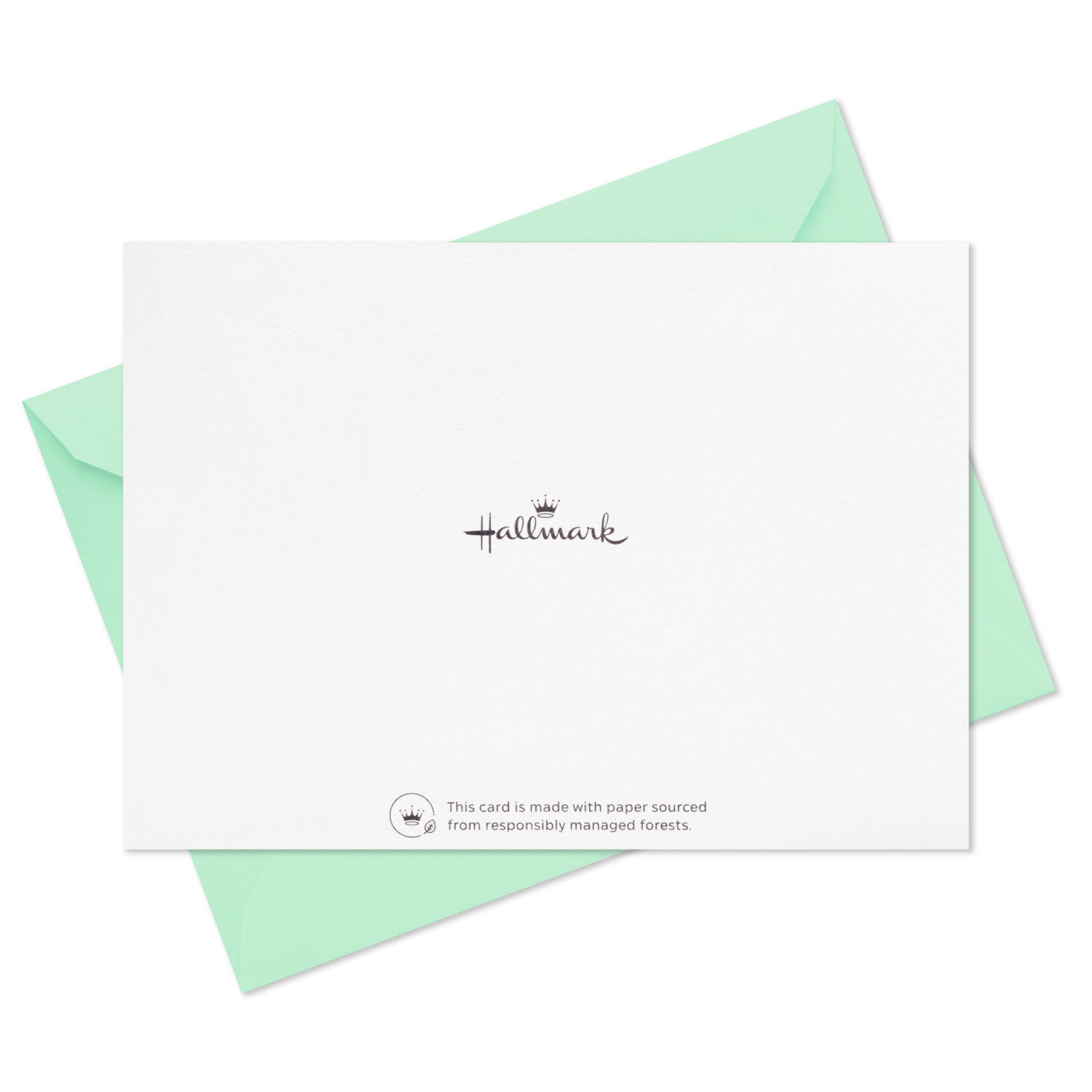 Watercolor Eucalyptus Assorted Blank Thank-You Notes, Pack of 40, , large image number 5