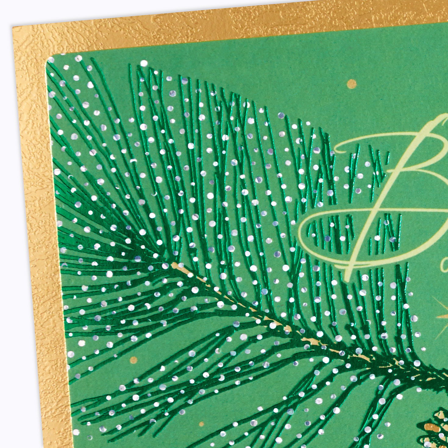 Family Ties Christmas Card for Brother and Sister-and-Law, , large image number 4