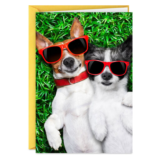 Coolest Couple Ever Anniversary Card, 