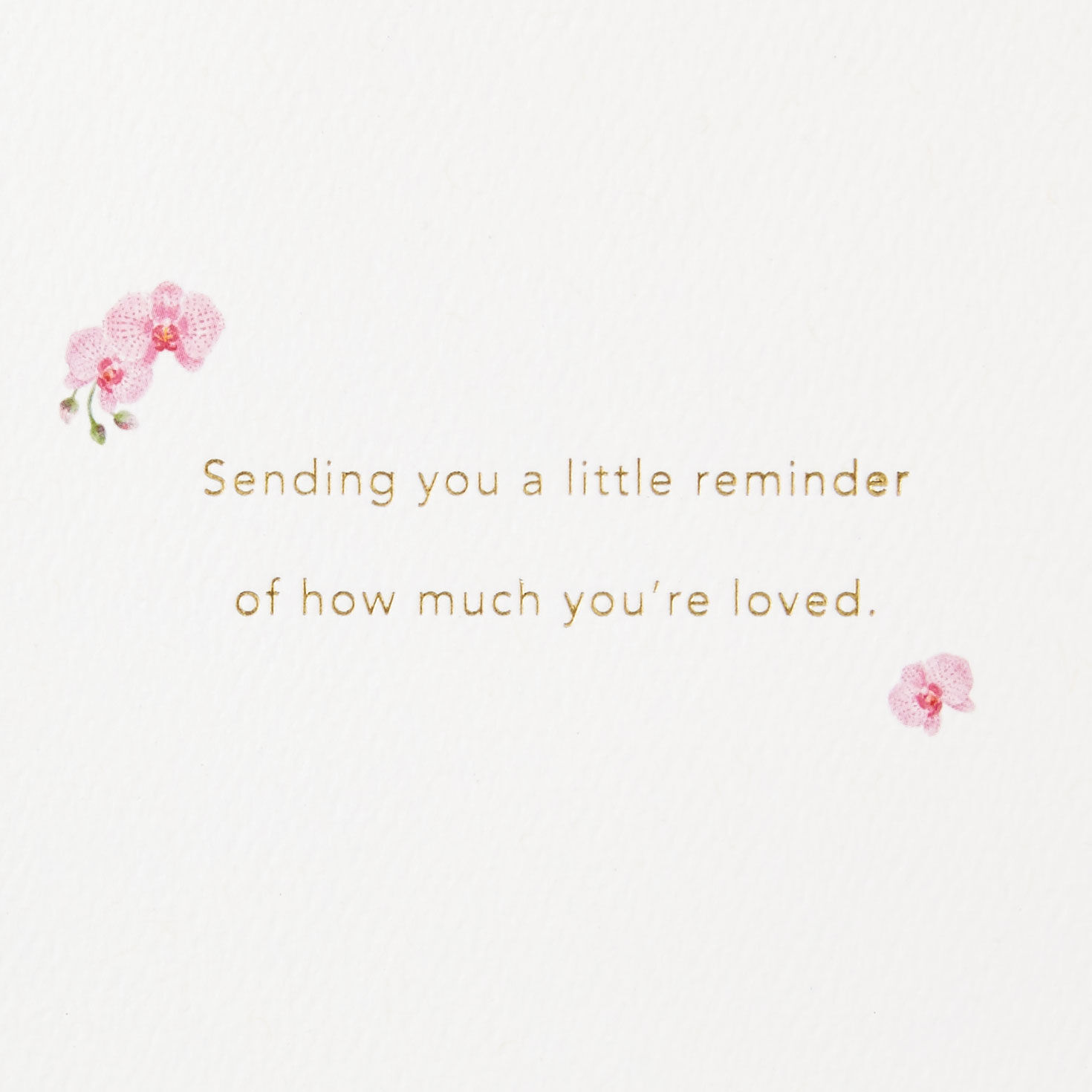 Pink Orchid Happy Mother's Day Card Sentiment image number 2