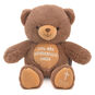 Dark Brown Teddy Bear With Bible Quote Embroidery front image number 1