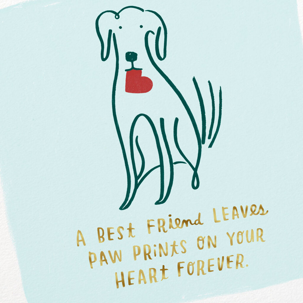 Loss Of Pet >> Dog Carrying A Heart Sympathy Card For Loss Of Pet Loss Of Pet >> Dog Carrying A Heart Sympathy Card For Loss Of Pet