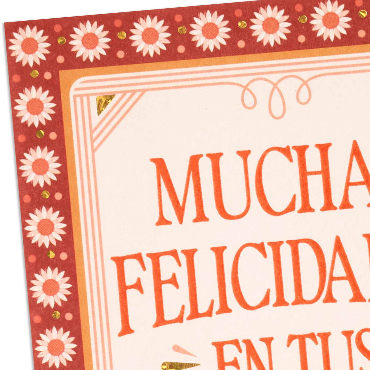 Daisy Border Quince A&ntilde;os Birthday Card in Spanish Card Front Detail image number 4