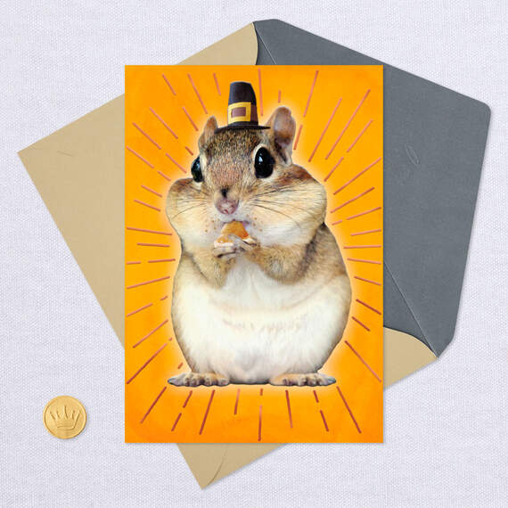 Chipmunk Cheeks Funny Thanksgiving Card, , large image number 5