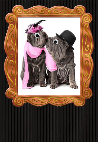 Old and Wrinkly Funny Anniversary Card