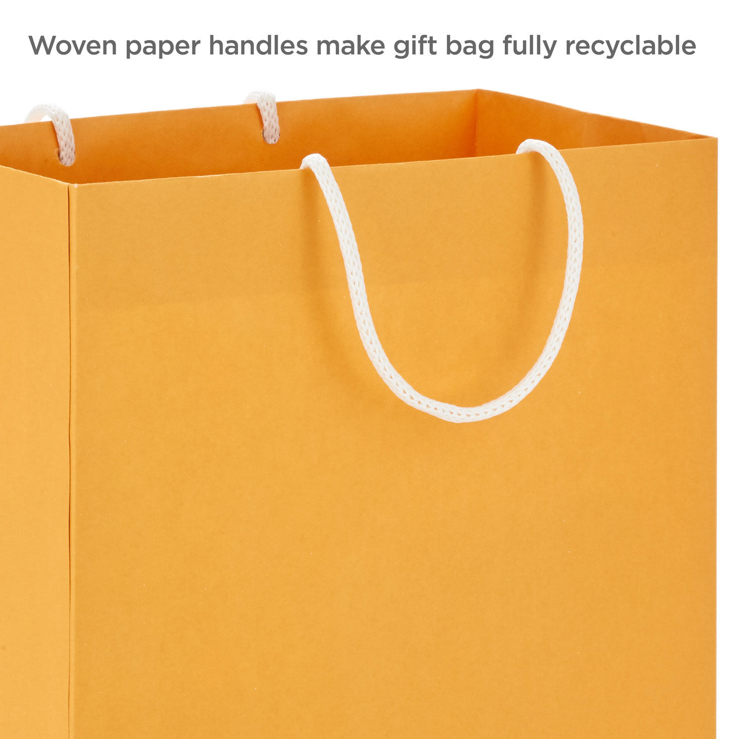 Solid Pastel Gift Bags in Assorted Sizes handle detail image number 4