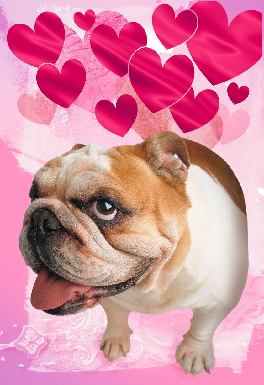 Atomic Puppy Love Musical Valentine's Day Card