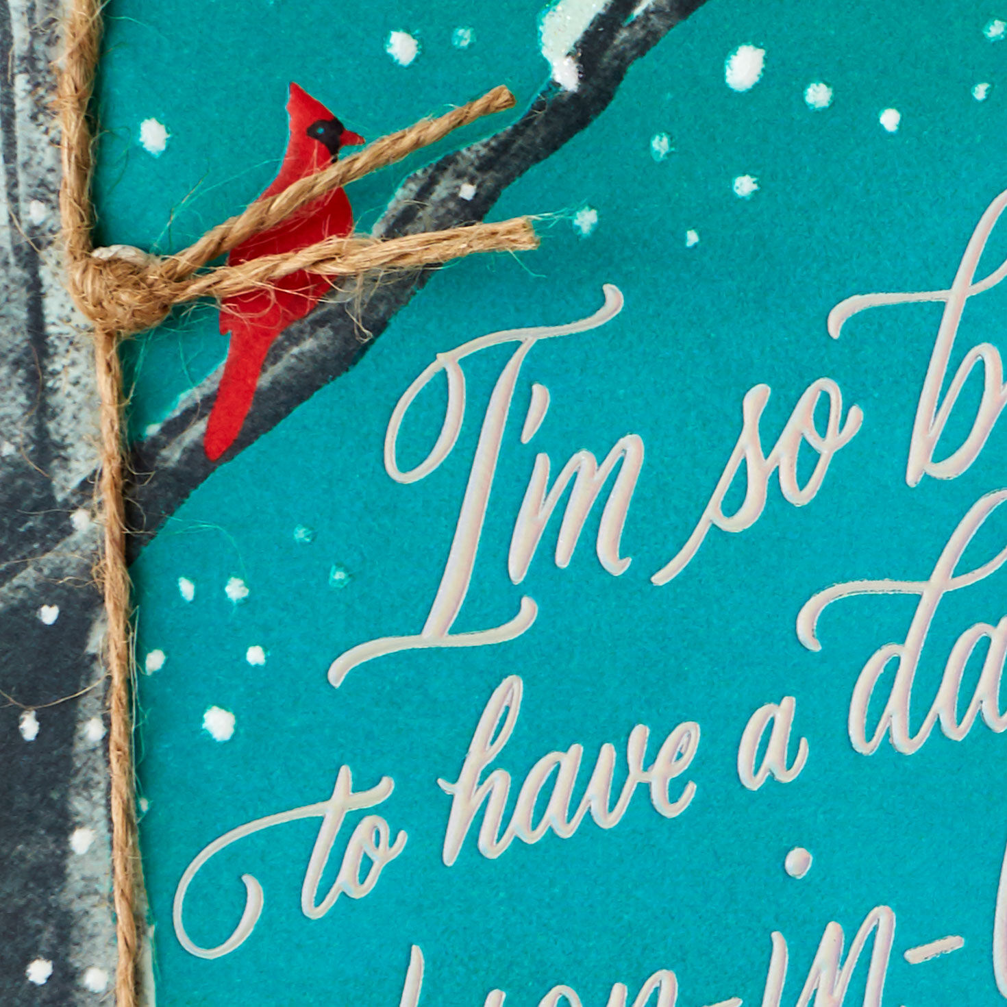 Cardinals Christmas Card for Daughter and Son-in-Law Card Front Detail image number 5