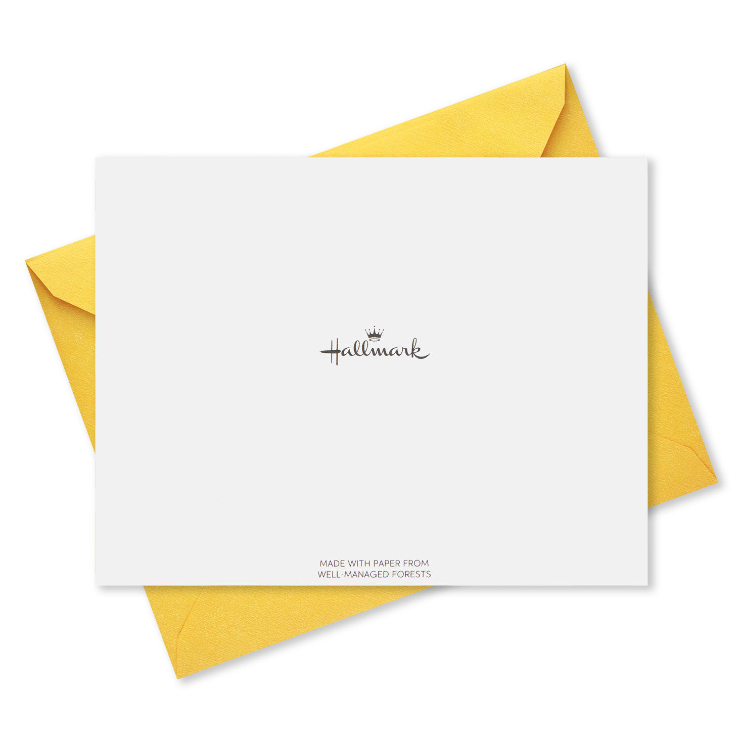 Colorful Assorted Birthday Cards With Pouch and Pen, Pack of 10, , large image number 9