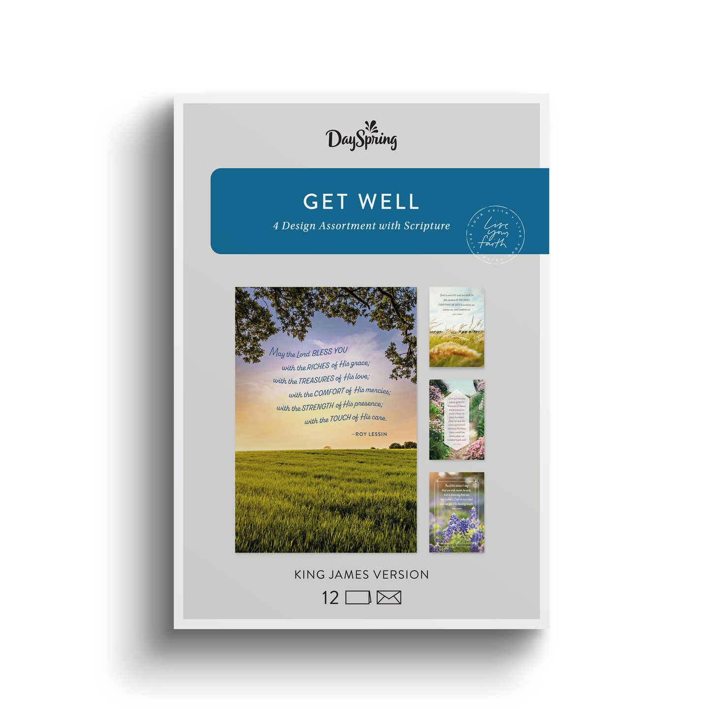 Roy Lessin DaySpring Get Well Cards Assortment package front image number 2