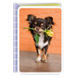Chihuahua Dog With Flower Blank Card Card Front image number 1