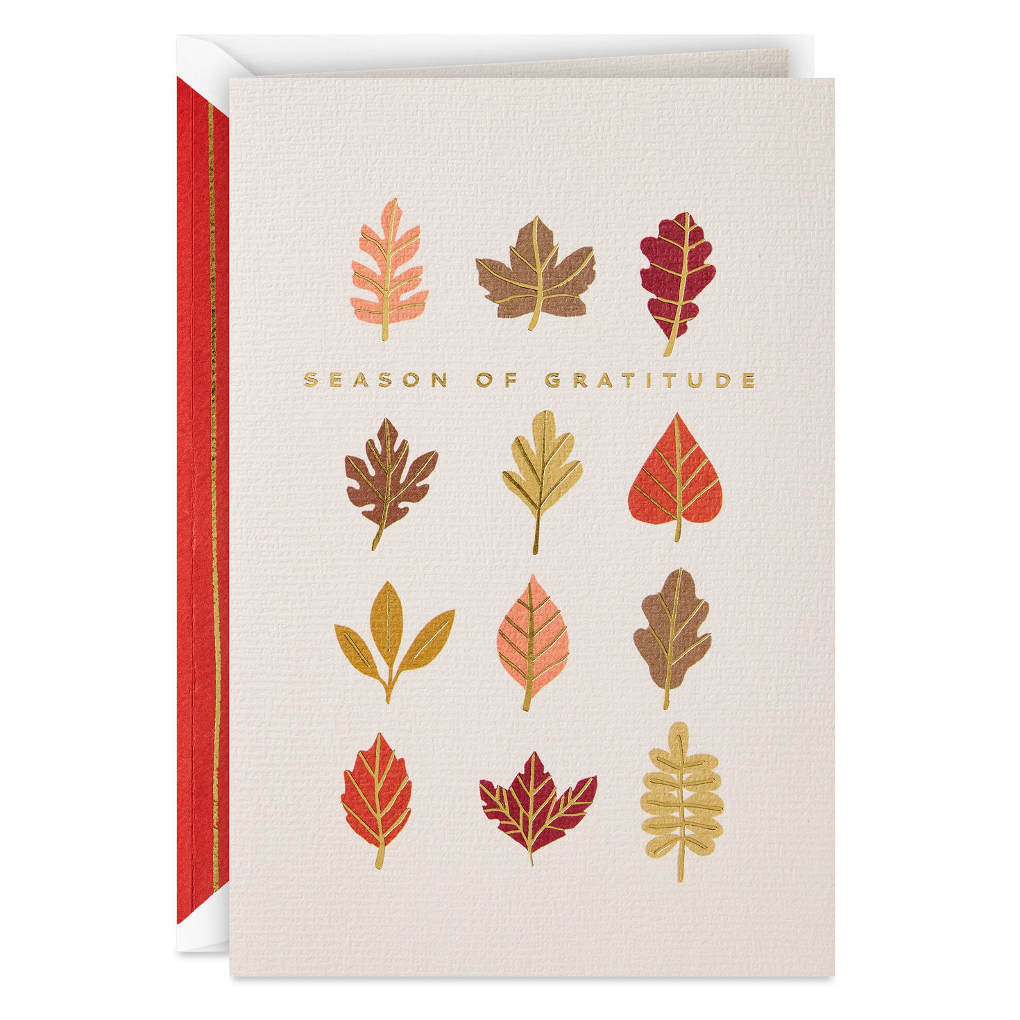Season of Gratitude Thanksgiving Card
