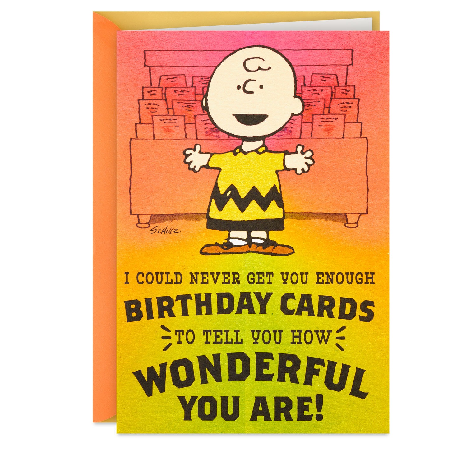 Peanuts® Charlie Brown Wonderful You Funny Birthday Card With Mini Cards