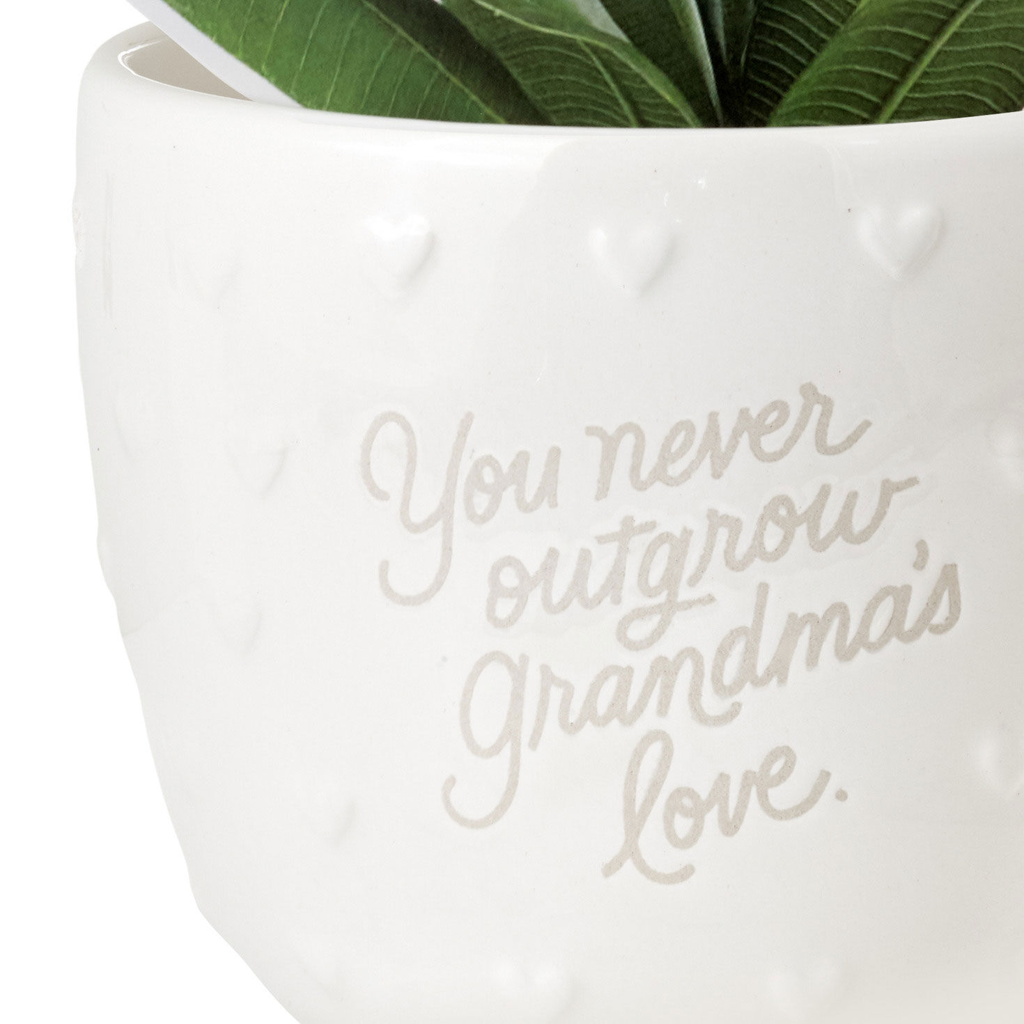 Planter-Shaped Pen Holder for Grandma upclose view image number 3