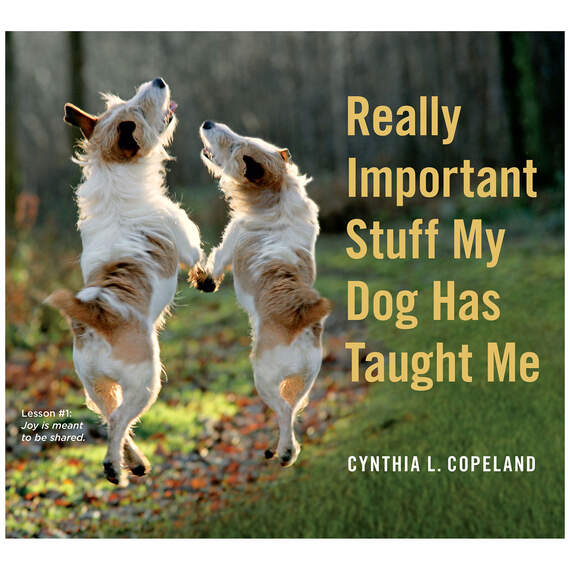 Really Important Stuff My Dog Has Taught Me Gift Book