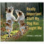 Really Important Stuff My Dog Has Taught Me Gift Book, , large image number 1