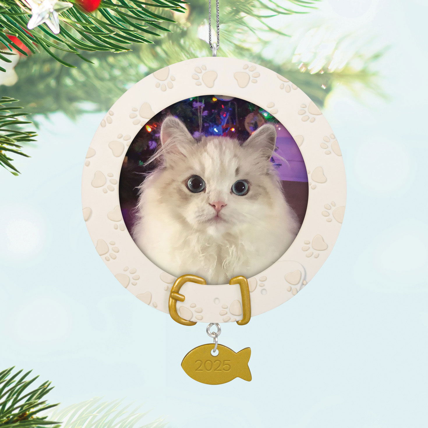 Furry Friend 2025 Personalized Ornament, Custom Photo for only USD 24.99 | Hallmark