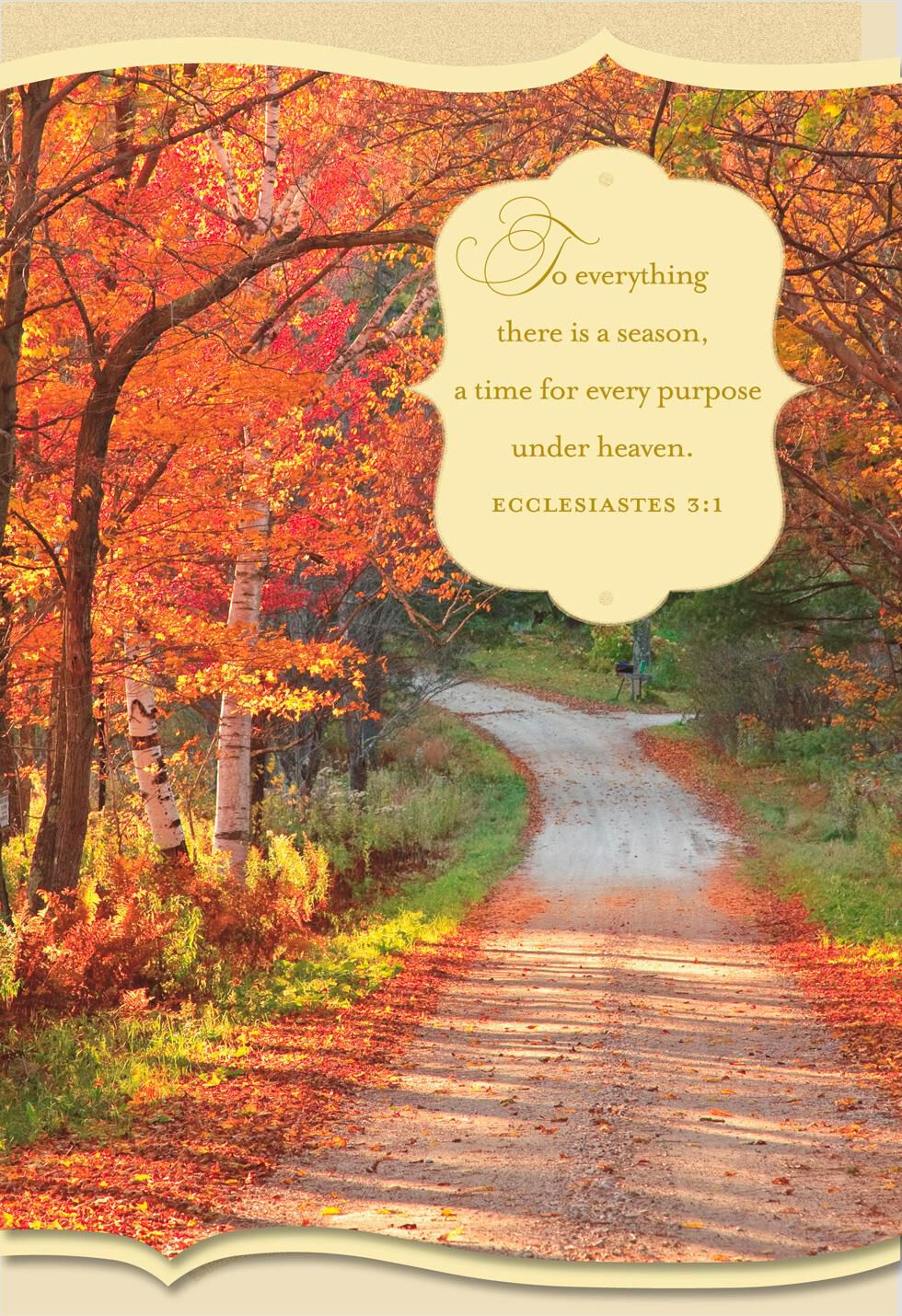 God's Abundant Blessings Religious Thanksgiving Card