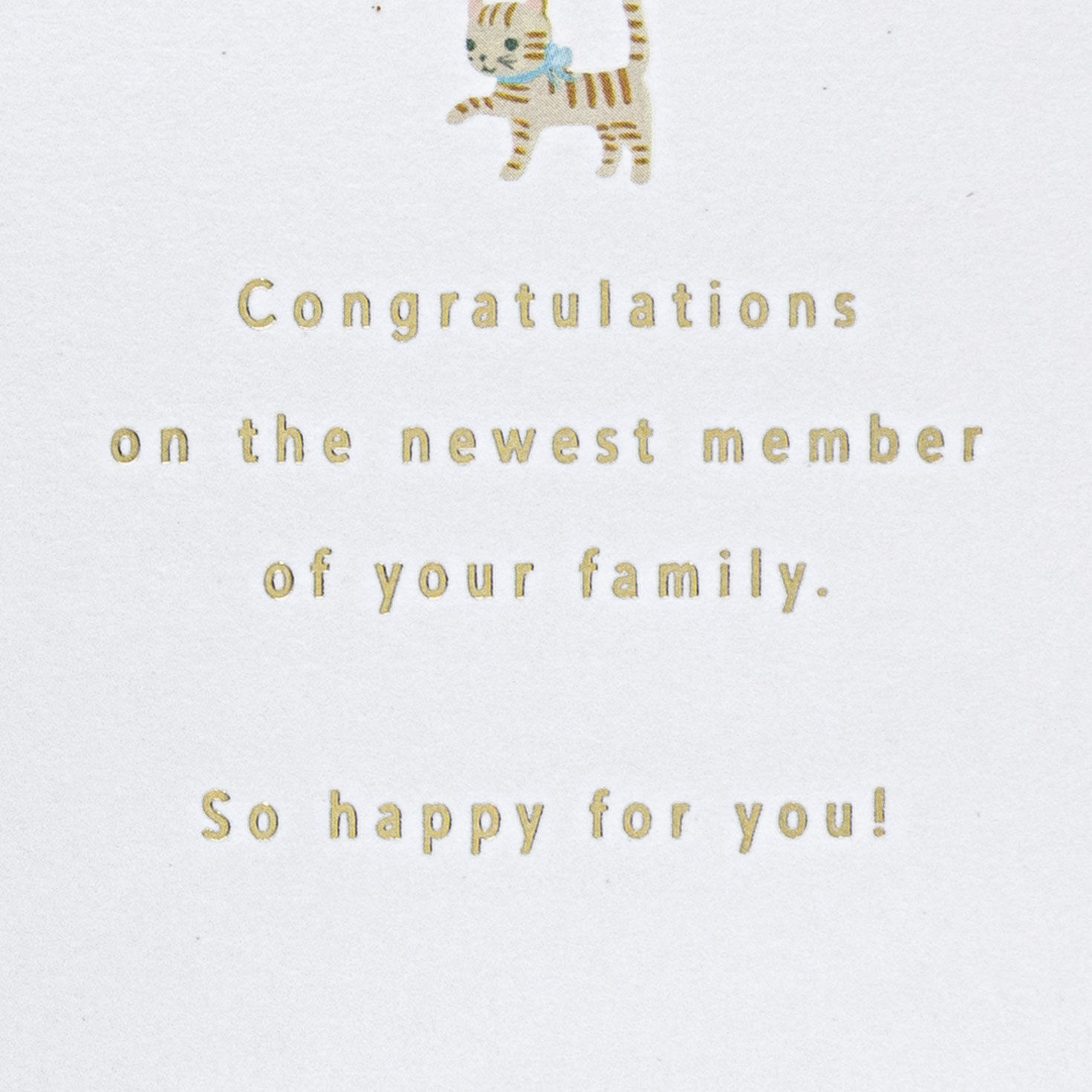 Jungle Animals Alphabet Baby Card sentiment image number 2