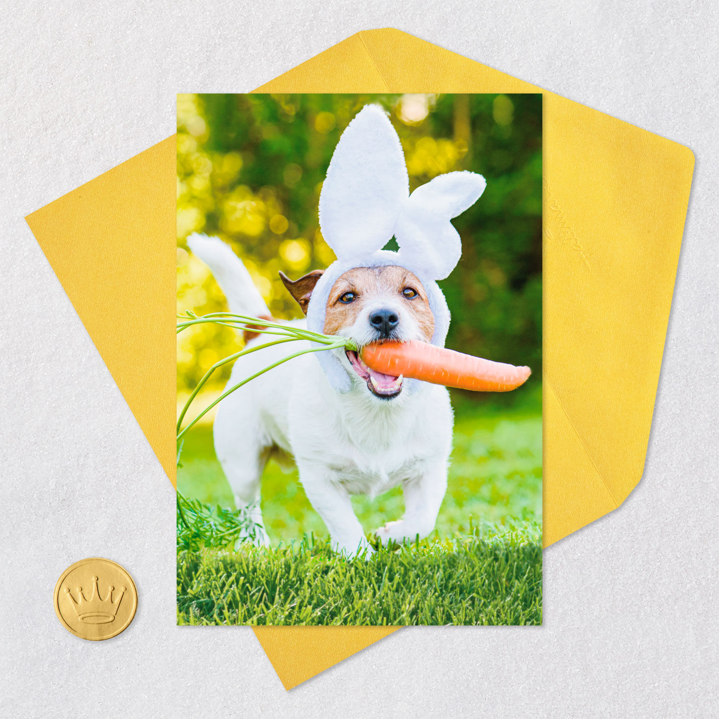 Dog Wearing Bunny Ears Funny Easter Card Card Front with Envelope and Gold Seal image number 6