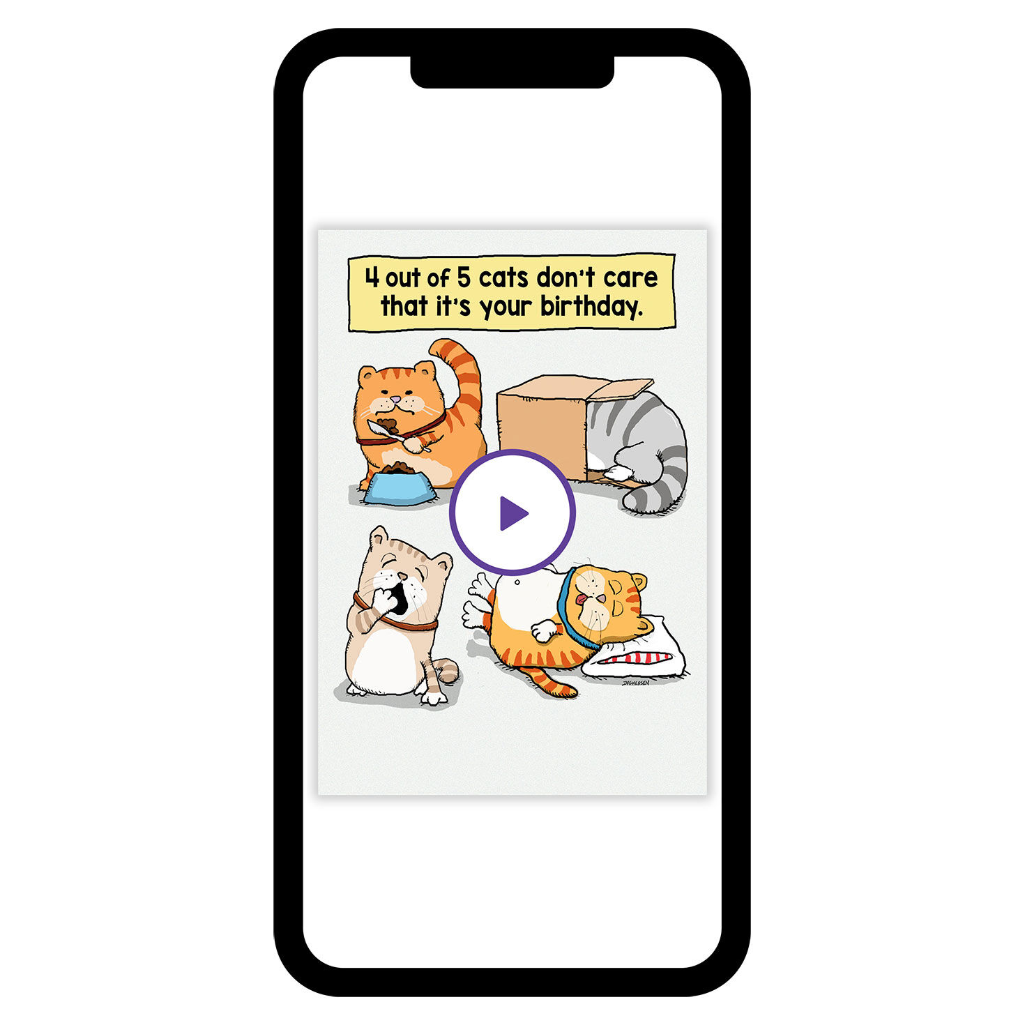 Cats Don't Care Funny Birthday eCard