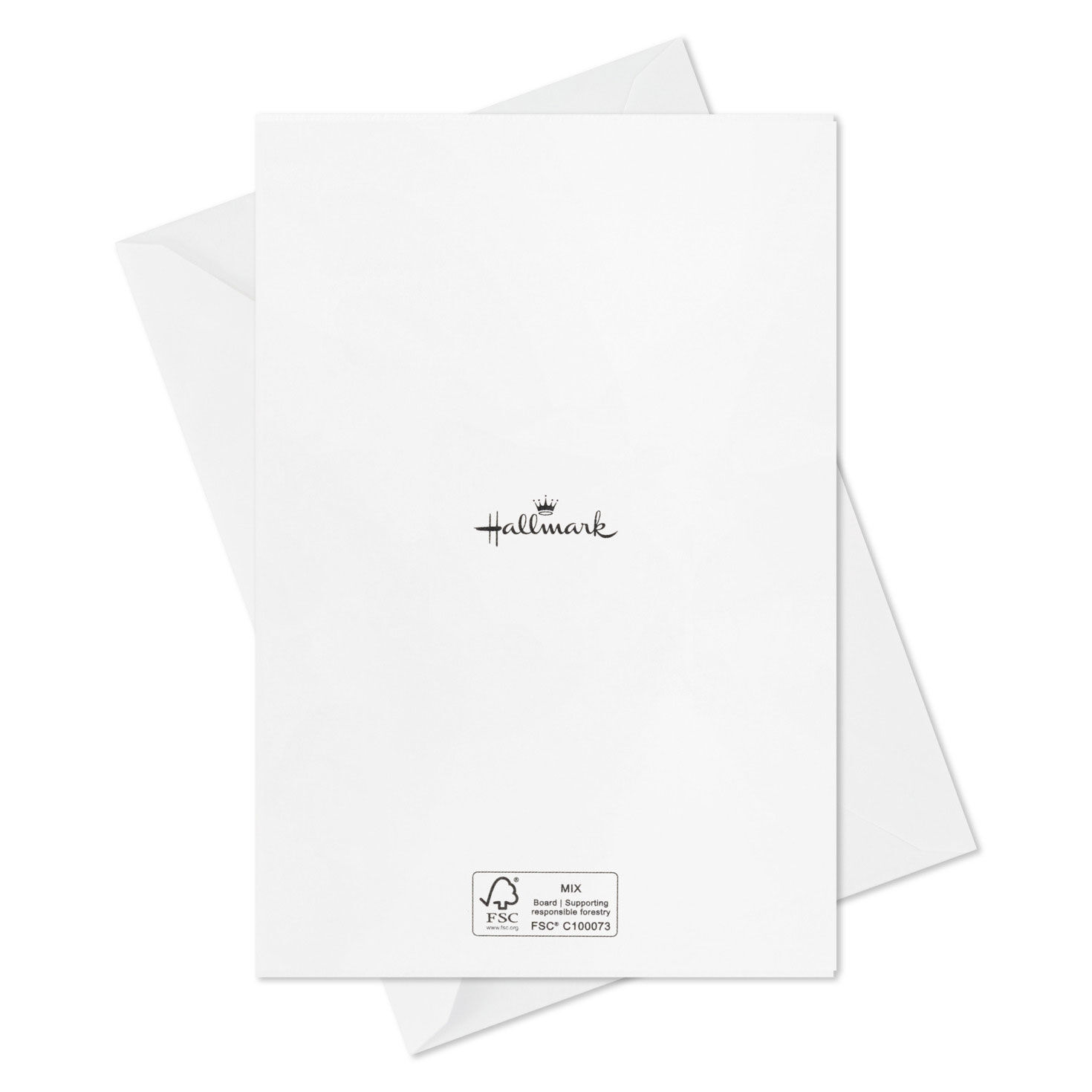 Joy to the World on Blue Boxed Christmas Cards, Pack of 40